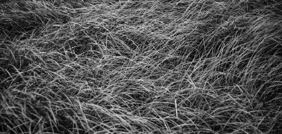 insung-yoon-Bgo1OoV1mis-unsplash@2x insung-yoon-Bgo1OoV1mis-unsplash@2x